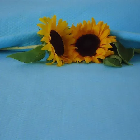 Mersina Exclusive 3* Naousa (Paros)