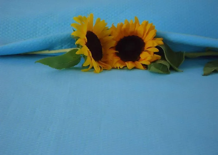 Mersina Exclusive 3* Naousa